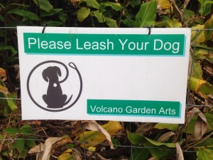 Leashed dogs are permitted. Mahalo to Volcano Garden Arts' owner Ira Ono!