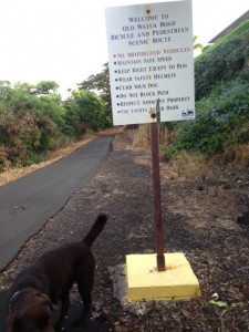 Walua Road Trail Rules