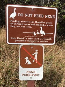 Volcanoes NP No Dogs sign 2.19.17