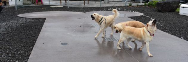 Central Bark Dog Parks (Holualoa)